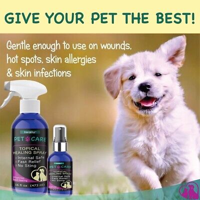 DOG SKIN ALLERGIES TREATMENT Soothing Antifungal Kills Parasites Bacteria Spray - Görsel 3