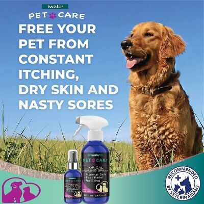 DOG SKIN ALLERGIES TREATMENT Soothing Antifungal Kills Parasites Bacteria Spray - Görsel 5