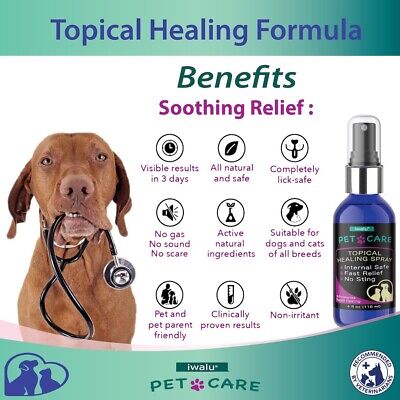 DOG SKIN ALLERGIES TREATMENT Soothing Antifungal Kills Parasites Bacteria Spray - Görsel 7
