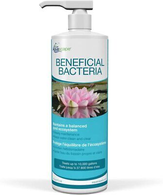 DOG SKIN ALLERGIES TREATMENT Soothing Antifungal Kills Parasites Bacteria Spray - Görsel 8