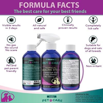 DOG SKIN ALLERGIES TREATMENT Soothing Antifungal Kills Parasites Bacteria Spray - Görsel 9