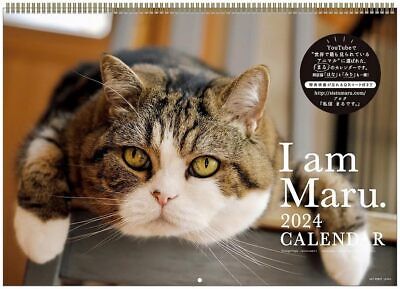 2024 Maru-chan calendar No.045 - Görsel 1