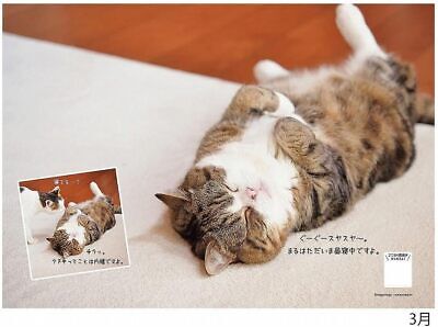 2024 Maru-chan calendar No.045 - Görsel 3