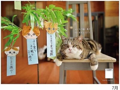 2024 Maru-chan calendar No.045 - Görsel 5