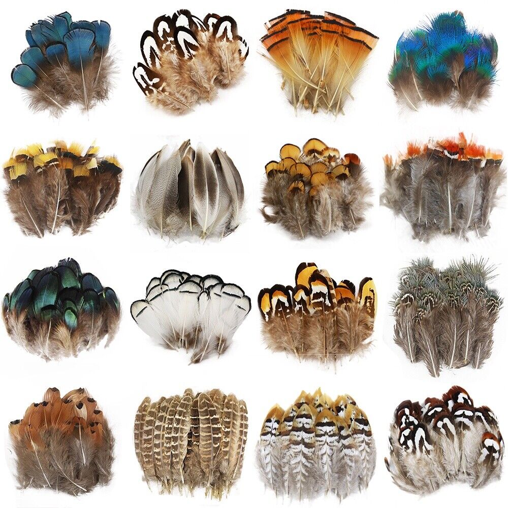 Diy Small Plume Pheasant Feathers Color for Craft Decoration Wedding Carnival - Görsel 1