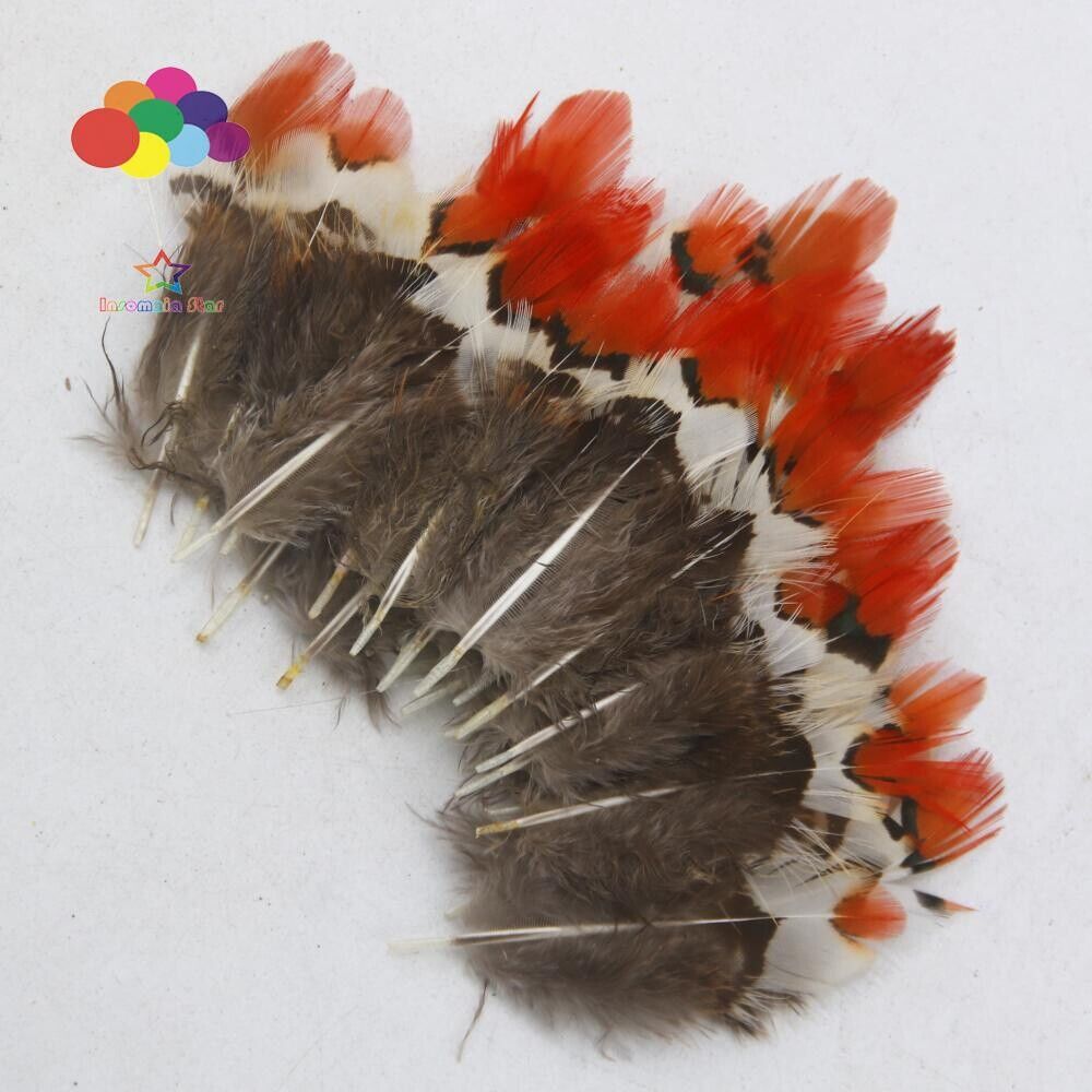 Diy Small Plume Pheasant Feathers Color for Craft Decoration Wedding Carnival - Görsel 2