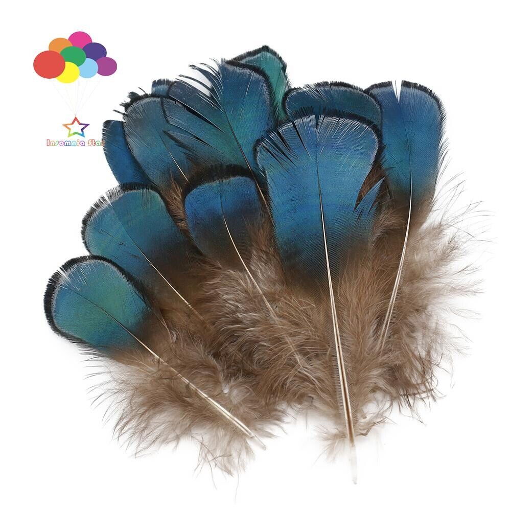 Diy Small Plume Pheasant Feathers Color for Craft Decoration Wedding Carnival - Görsel 3
