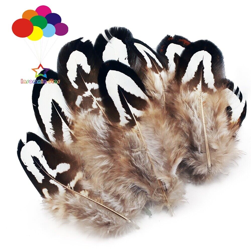 Diy Small Plume Pheasant Feathers Color for Craft Decoration Wedding Carnival - Görsel 4