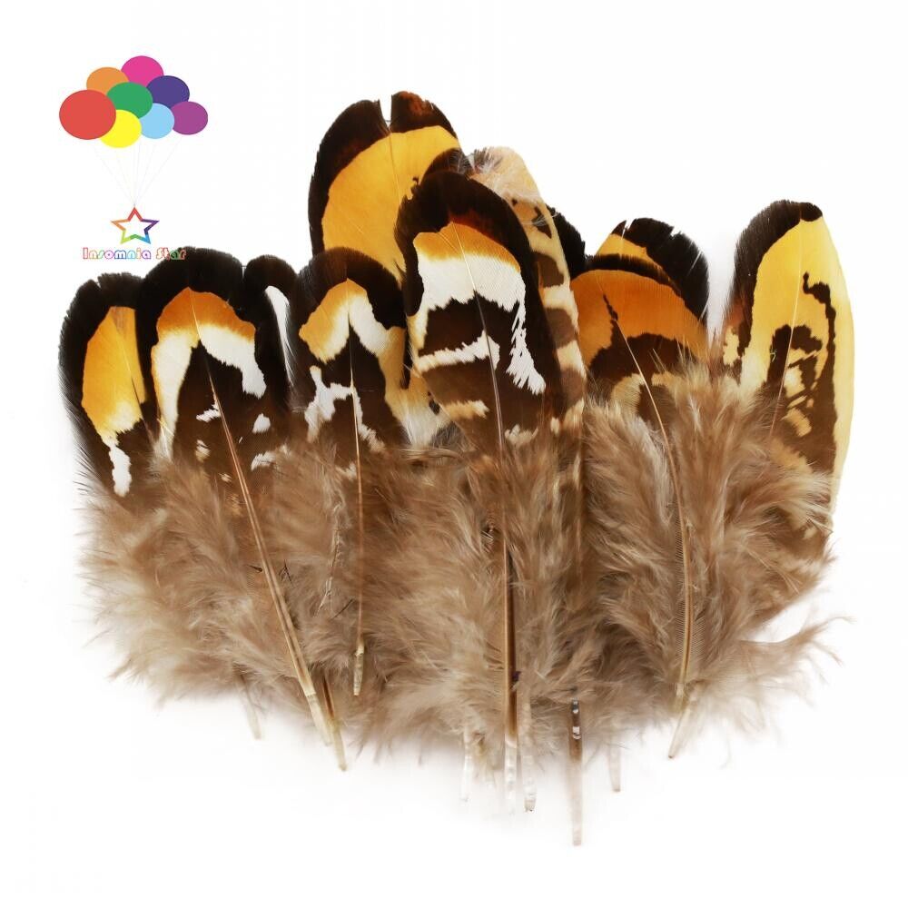Diy Small Plume Pheasant Feathers Color for Craft Decoration Wedding Carnival - Görsel 5