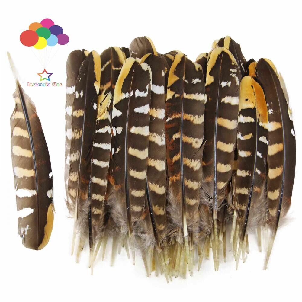 Diy Small Plume Pheasant Feathers Color for Craft Decoration Wedding Carnival - Görsel 6