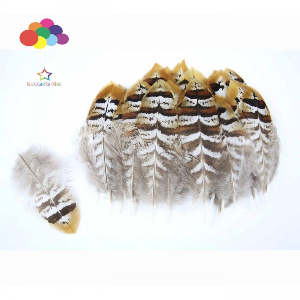 Diy Small Plume Pheasant Feathers Color for Craft Decoration Wedding Carnival - Görsel 7