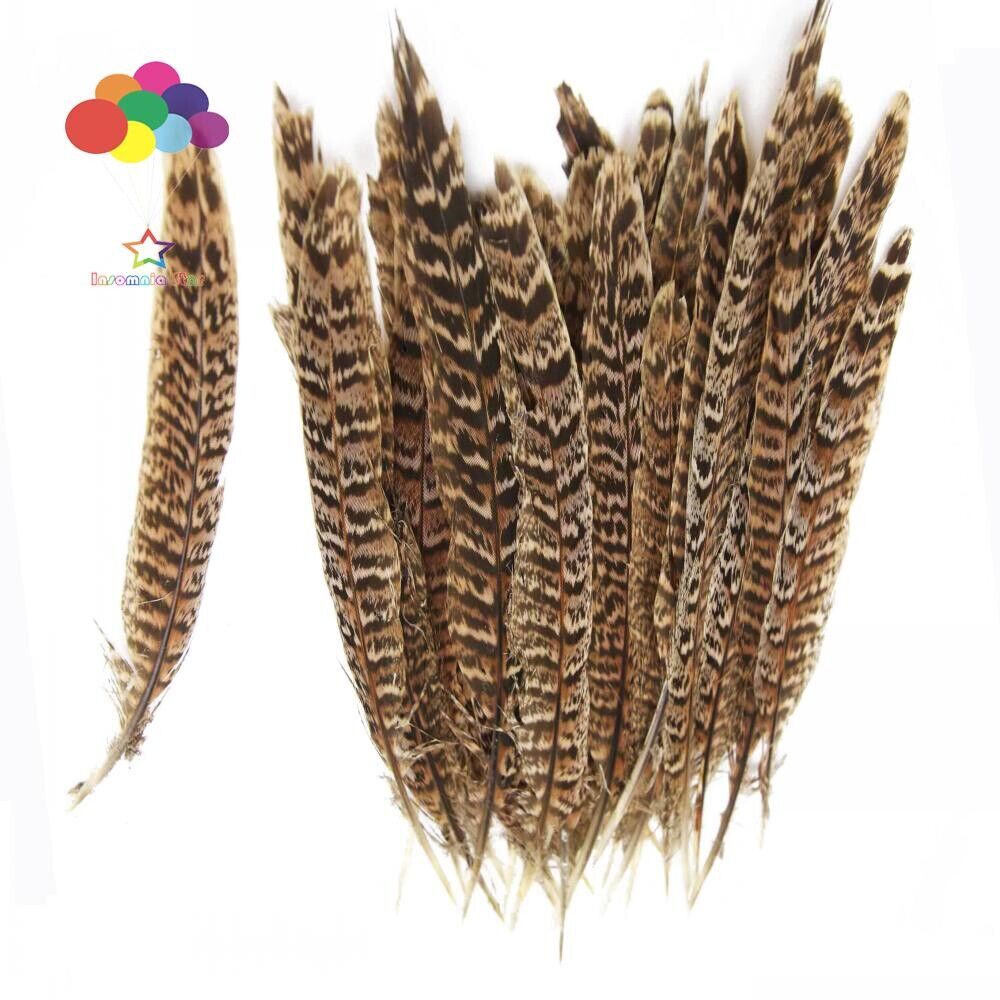 Diy Small Plume Pheasant Feathers Color for Craft Decoration Wedding Carnival - Görsel 8