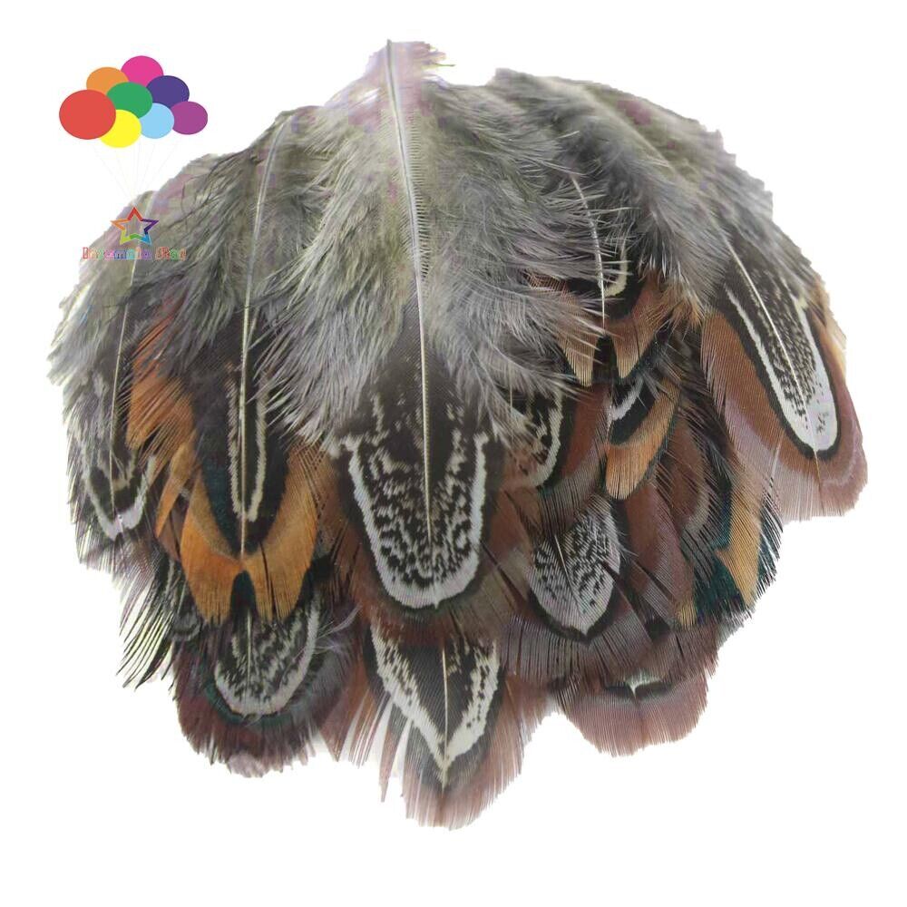Diy Small Plume Pheasant Feathers Color for Craft Decoration Wedding Carnival - Görsel 9