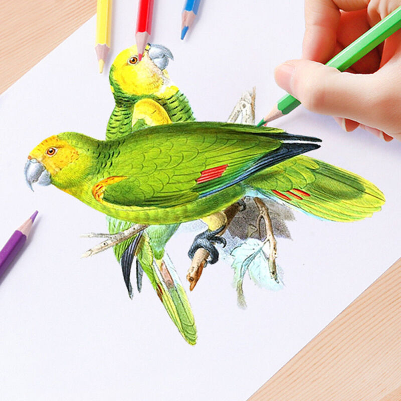 160 Colors Drawing Color Pencil Professionals Artist Pencils Painting Drawing AU - Görsel 8