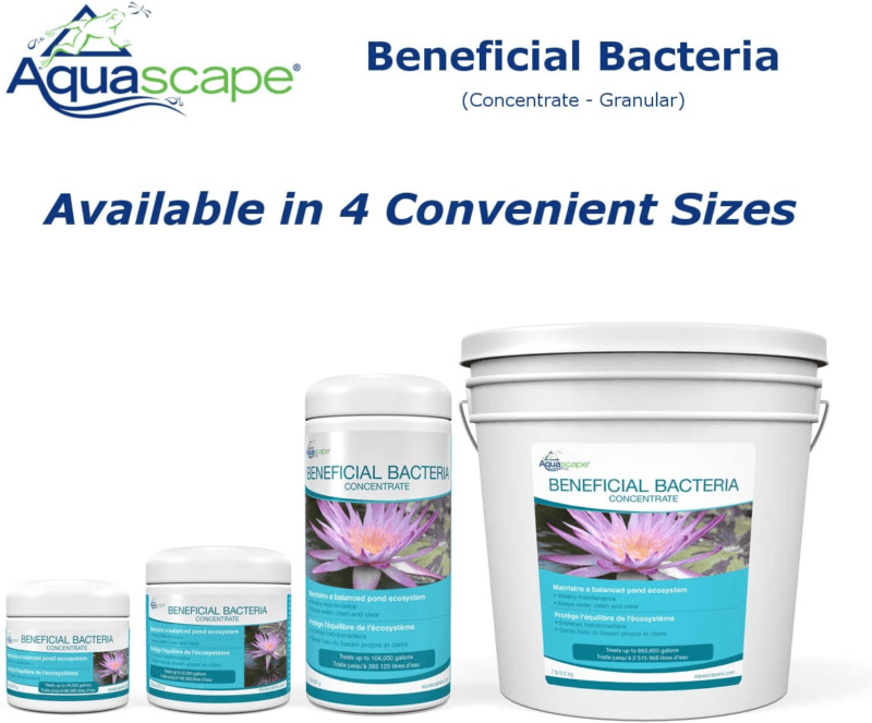 Aquascape 98949 Beneficial Bacteria Concentrate for Pond and Water Features, 1.1 - Görsel 3