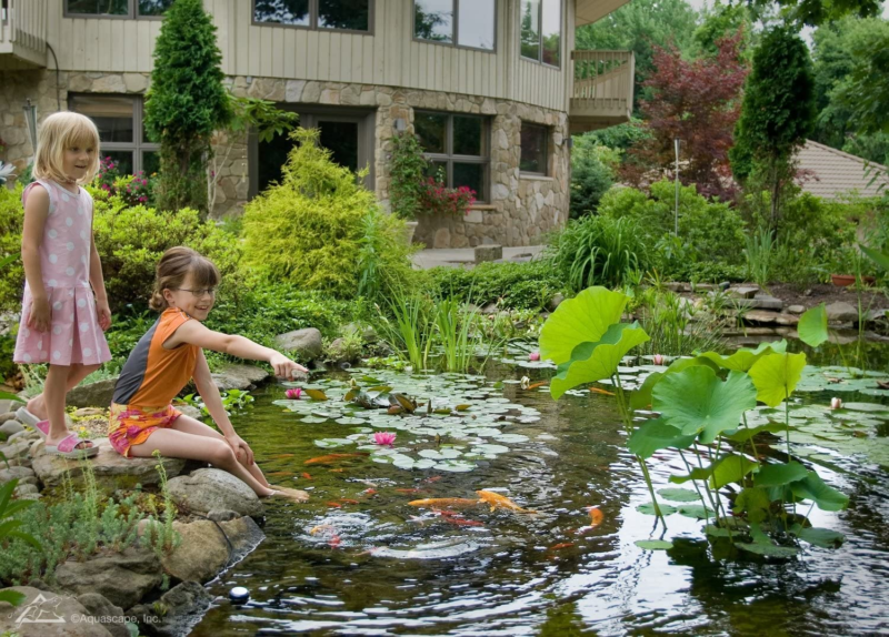 Aquascape 98949 Beneficial Bacteria Concentrate for Pond and Water Features, 1.1 - Görsel 4