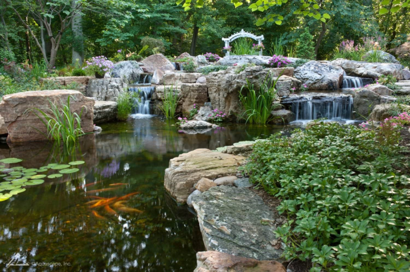 Aquascape 98949 Beneficial Bacteria Concentrate for Pond and Water Features, 1.1 - Görsel 5