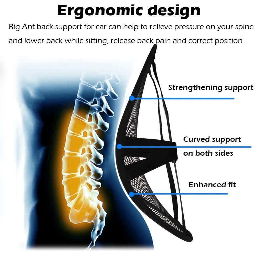 Lumbar Support Pillow for Office Chair Lumbar Support Car Seat With Mesh 2-Layer - Görsel 3
