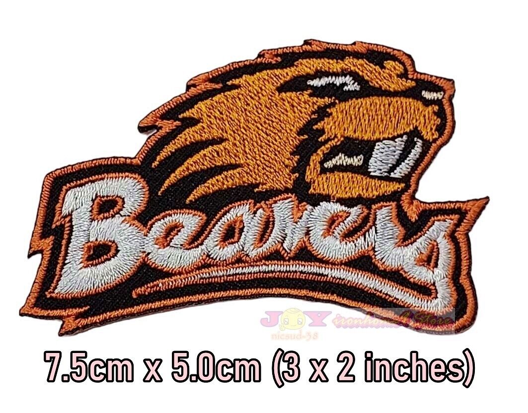 IRON-ON Custom Embroidered Name Patch, Name Tag,Name Badge Rectangular 1.5"x3.5" - Görsel 3