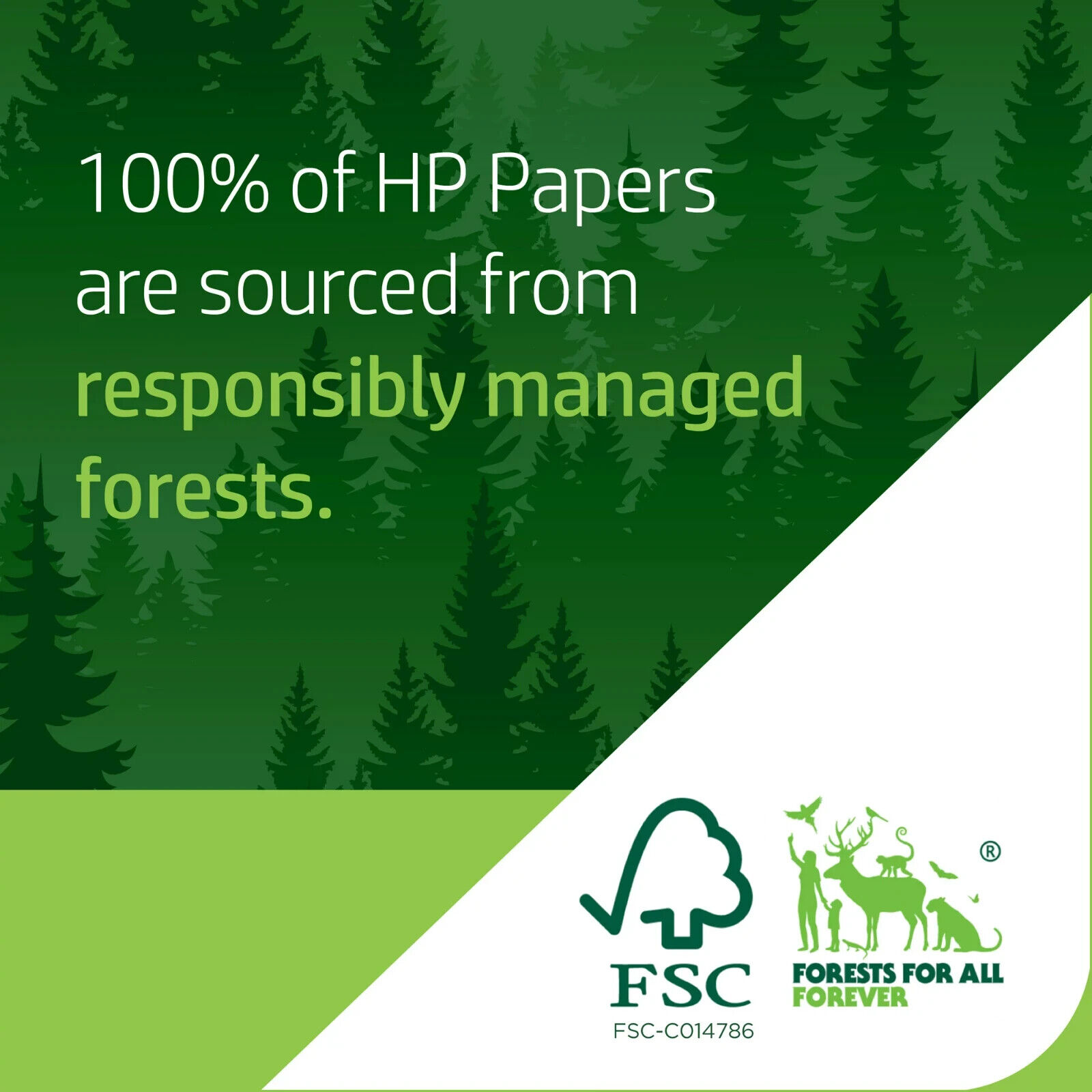 1x HP Printer Paper - Copy And Print, 20 lb., 8.5" x 11", 500 Sheets, 1 Ream.- - Görsel 2