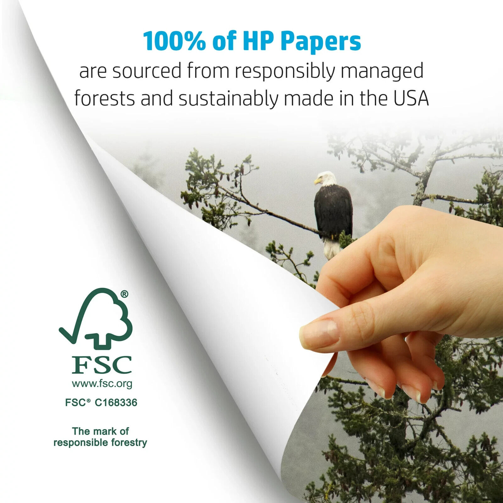 1x HP Printer Paper - Copy And Print, 20 lb., 8.5" x 11", 500 Sheets, 1 Ream.- - Görsel 3