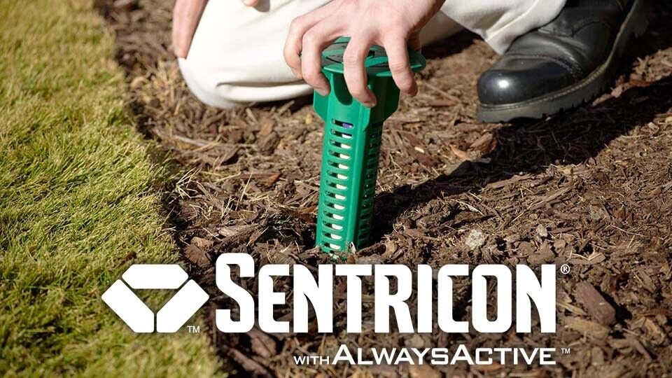 Set of (4) In-Ground termite kill trap bait station CAPS/LIDS/TOPS ONLY new. - Görsel 2