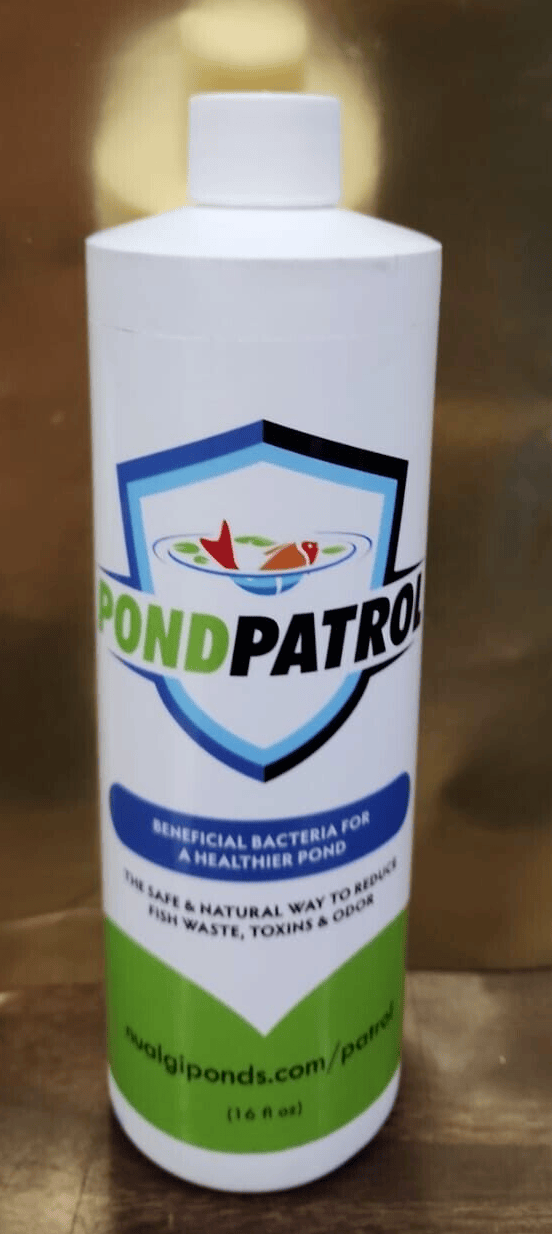 PONDPATROL BENEFICIAL BACTERIA FOR A HEALTHIER POND 16oz. - Görsel 1