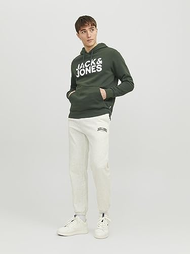 Jack&Jones Sweatshirt Erkek Uzun Kollu Deniz Mavisi 12152840 JJECORP Logo Sweat Hood NOOS Navy Blazer REG Large, Gri, S-XXL - Görsel 4