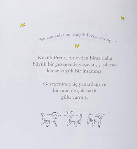 Bebekler Icin Kucuk Prens - Görsel 6