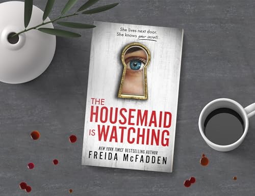 The Housemaid Is Watching - Görsel 2