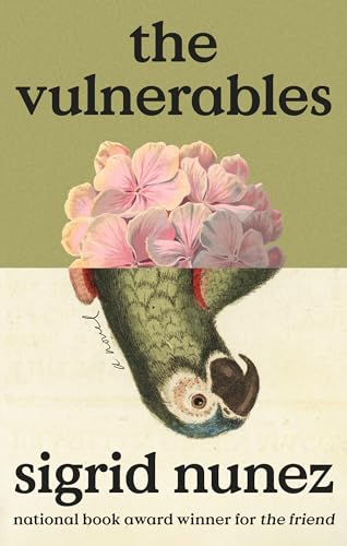 The Vulnerables A Novel