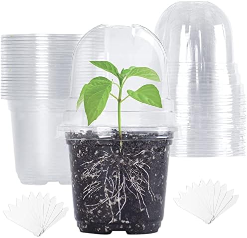 TSKDKIT 20 adet nem kubbeli yetiştirme saksısı, bitki saksısı, çap 10 cm, yuvarlak, çiçek saksıları, orkide saksısı, şeffaf plastik, sukulentler, tohumlar, fideler için - Görsel 1