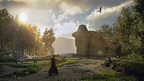 Hogwarts Legacy - PlayStation 5 | English | EU Import Region Free - Görsel 3