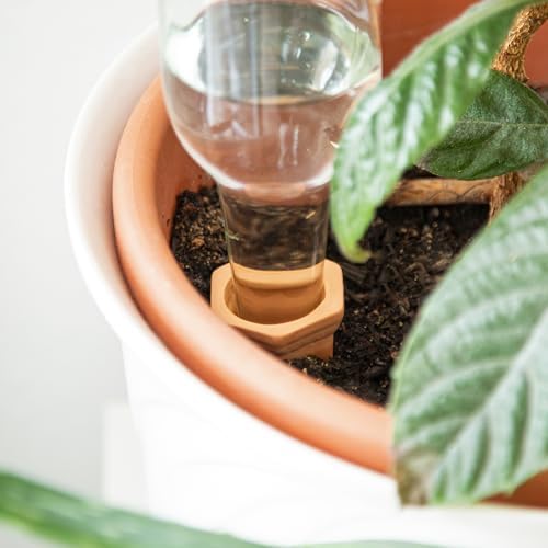 3 x su sebili, bitkiler Sabit bitkiler için sulama sistemi, 250 ml ve 1000 ml PET şişe ile sulama sistemi, 1 haftaya kadar sulama – bitki aleti OwnGrown - Görsel 6