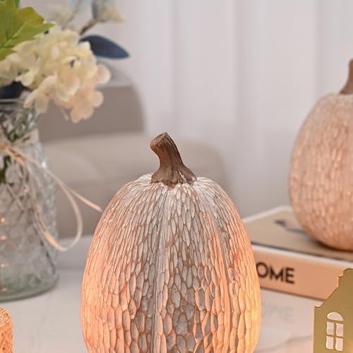 Artificial Pumpkin Decor, Brown and White Decorative Pumpkins, Thanksgiving Resin Pumpkin Figurine Set of 2, Carved Pumpkin Statues for Rustic Fall Tabletop Home Decor, Harvest, Wedding - Görsel 4