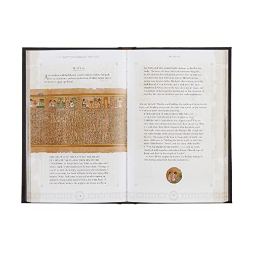 The Egyptian Book of the Dead Deluxe Slip-case Edition (Arcturus Silkbound Classics) - Görsel 4
