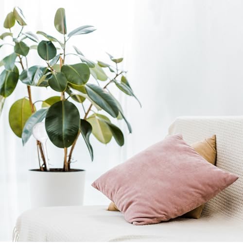 Relaxdays Sulama küreleri, 4'lü set, dozajlı sulama, 2 hafta, geri çekilebilir, dekorasyon, saksı bitkileri, plastik, mavi - Görsel 6