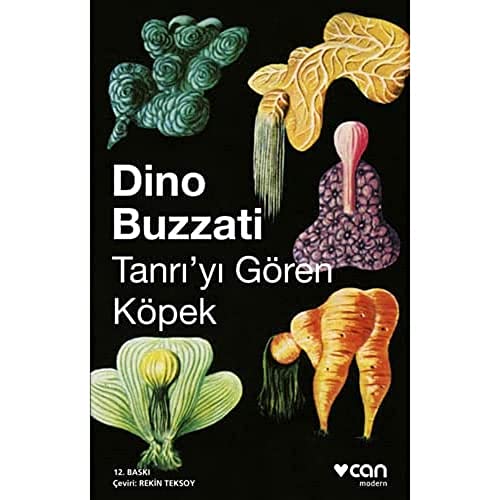 Tanrı'yı Gören Köpek La Boutique Del Mistero