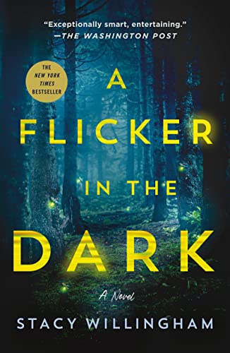 Flicker in the Dark - Görsel 1