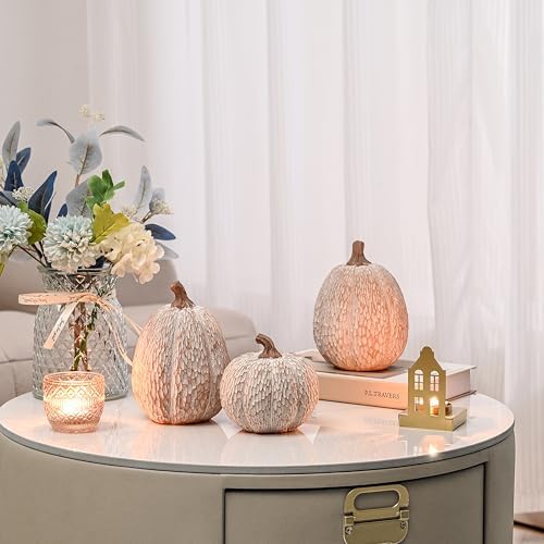 Artificial Pumpkin Decor, Brown and White Decorative Pumpkins, Thanksgiving Resin Pumpkin Figurine Set of 2, Carved Pumpkin Statues for Rustic Fall Tabletop Home Decor, Harvest, Wedding - Görsel 7