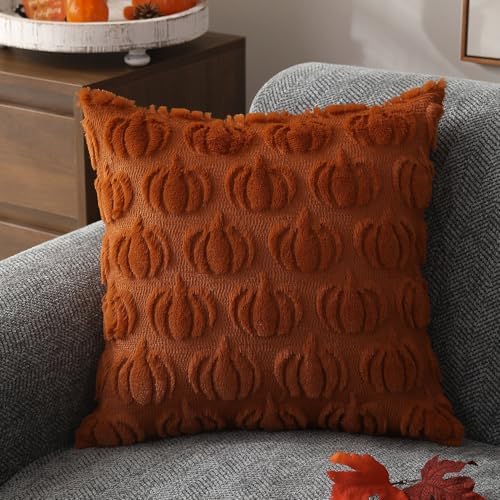 DFXSZ Fall Pillow Covers 18x18 Set of 2 Fall Decorations Autumn Rust Pumpkin Throw Pillow Cases Soft Plush Faux Fur Wool Couch Cushion Case for Chair Sofa Bedroom Living Room Home Decor PTK02A18 - Görsel 3