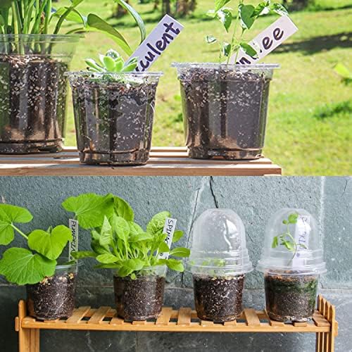 TSKDKIT 20 adet nem kubbeli yetiştirme saksısı, bitki saksısı, çap 10 cm, yuvarlak, çiçek saksıları, orkide saksısı, şeffaf plastik, sukulentler, tohumlar, fideler için - Görsel 5