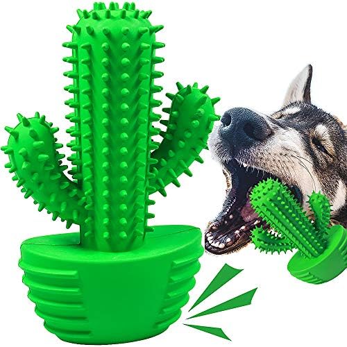 Dog Chew Toys Dog Toothbrush Stick Teeth Cleaning Brush Dental for Medium Large Dog, Puppy Christmas,Easter Birthday Gifts,Outdoor Dog Squeaky Toys for Aggressive Chewers Tough Toys Interactive - Görsel 1
