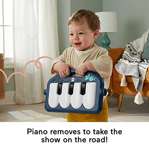 Fisher-Price Baby Playmat Kick & Play Piano Gym with Musical and Sensory Toys for Newborn to Toddler, Navy Fawn - Görsel 5