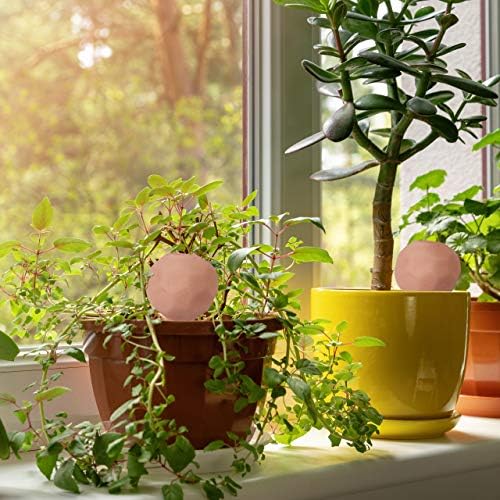 Relaxdays Sulama küreleri kil, 4'lü set, susuzluk küresi Ø 6 cm, seramik, saksı bitkileri için dozajlı sulama, terakota, 11 x 6 x 6 cm - Görsel 2