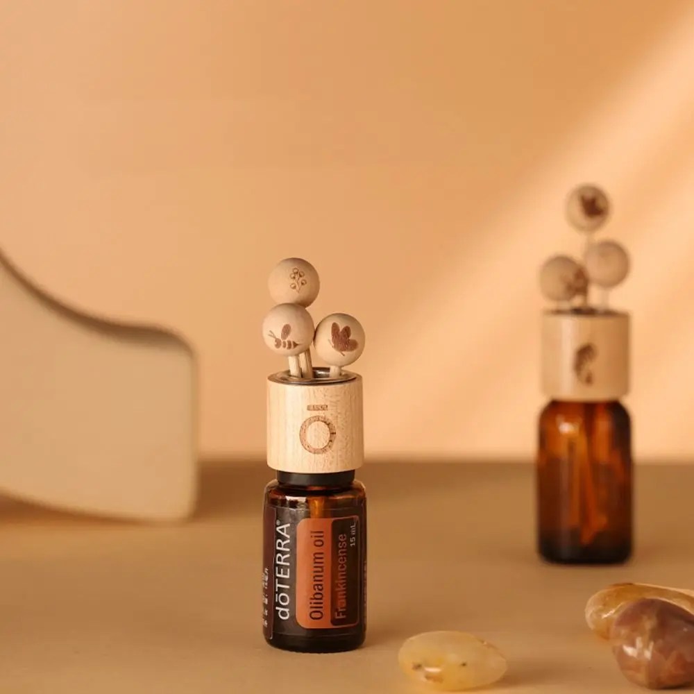 Kayın ahşap tükenmez kalem kapak için uçucu yağ ahşap renk DIY dekorasyon Fireless asma şube hiçbir yangın Aroma YAYICI Sticks - AliExpress 15