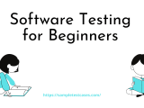 Software Testing For Beginners How To Learn Qa Testing
