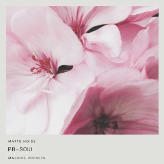 GOGOi – PB-Soul (MASSiVE)