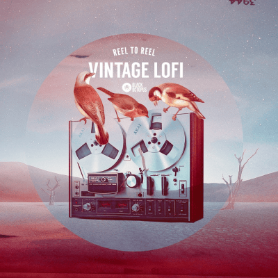Black Octopus Sound – Reel to Reel – Vintage Lofi