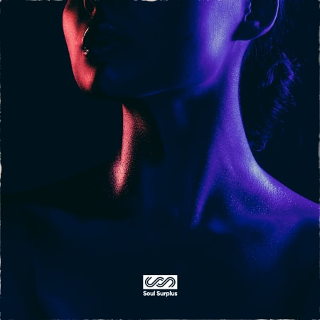 Soul Surplus – Soul Seeking – Warm Soul (WAV)